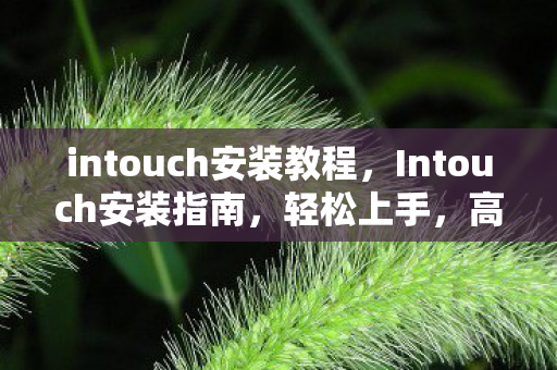 intouch安装教程，Intouch安装指南，轻松上手，高效配置