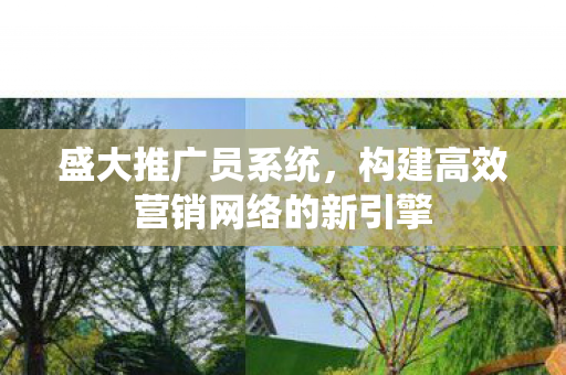 盛大推广员系统，构建高效营销网络的新引擎