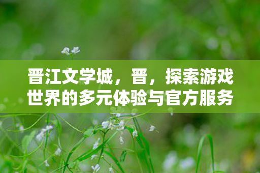 晋江文学城，晋，探索游戏世界的多元体验与官方服务的独特价值