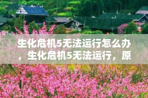 生化危机5无法运行怎么办，生化危机5无法运行，原因解析与解决方案