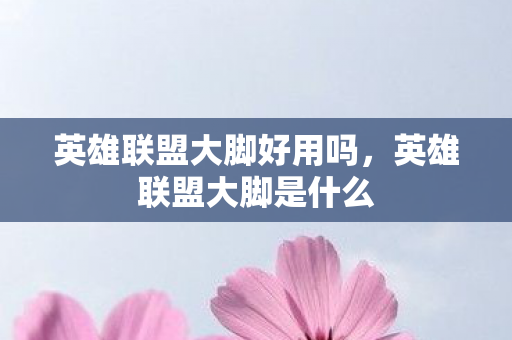 英雄联盟大脚好用吗，英雄联盟大脚是什么