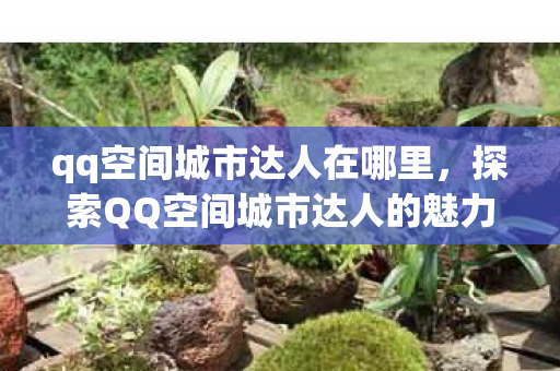 qq空间城市达人在哪里，探索QQ空间城市达人的魅力与影响