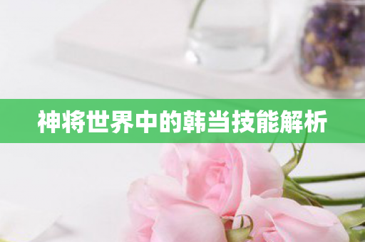 神将世界中的韩当技能解析