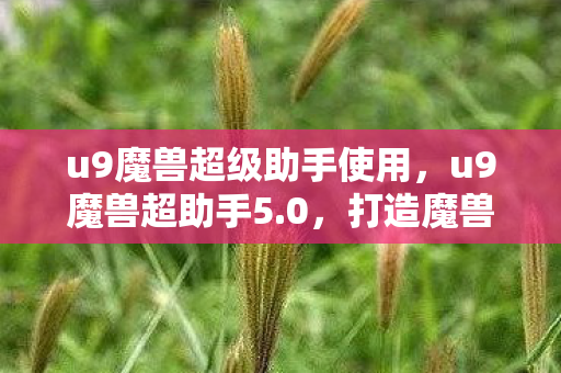 u9魔兽超级助手使用，u9魔兽超助手5.0，打造魔兽世界的全新游戏体验