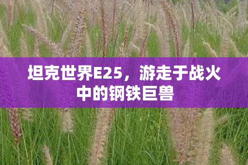坦克世界E25，游走于战火中的钢铁巨兽