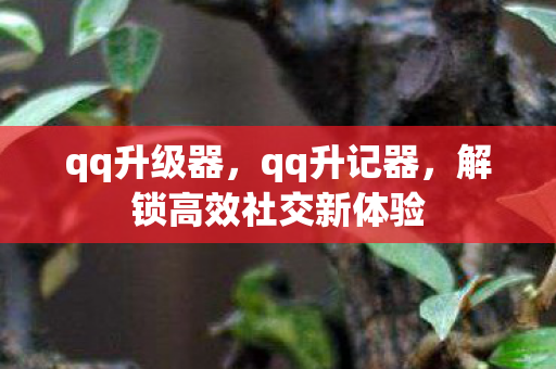 qq升级器，qq升记器，解锁高效社交新体验