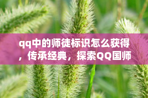 qq中的师徒标识怎么获得，传承经典，探索QQ国师的奇幻之旅