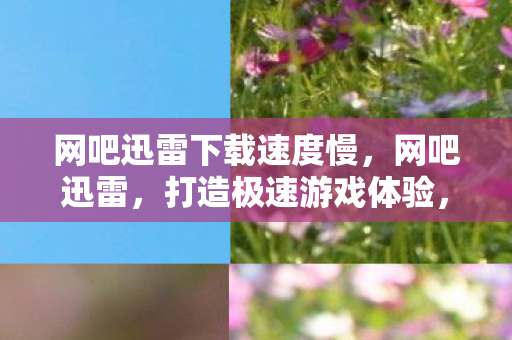 网吧迅雷下载速度慢，网吧迅雷，打造极速游戏体验，告别卡顿与等待