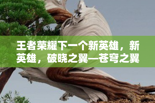 王者荣耀下一个新英雄，新英雄，破晓之翼—苍穹之翼