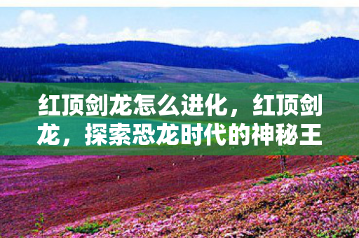 红顶剑龙怎么进化，红顶剑龙，探索恐龙时代的神秘王者