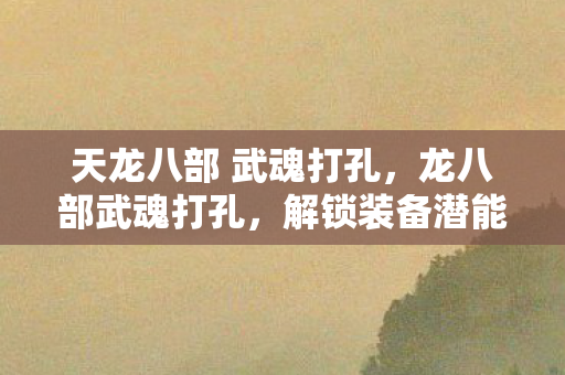 天龙八部 武魂打孔，龙八部武魂打孔，解锁装备潜能，打造无敌战力