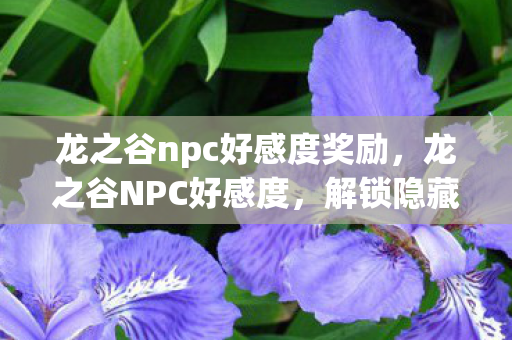 龙之谷npc好感度奖励，龙之谷NPC好感度，解锁隐藏福利与剧情的秘诀