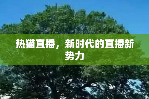 热猫直播,新时代的直播新势力 热猫直播,新时代的直播新势力