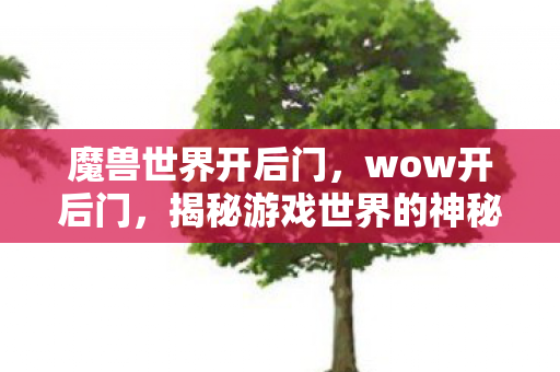 魔兽世界开后门，wow开后门，揭秘游戏世界的神秘通道
