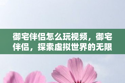 御宅伴侣怎么玩视频，御宅伴侣，探索虚拟世界的无限乐趣