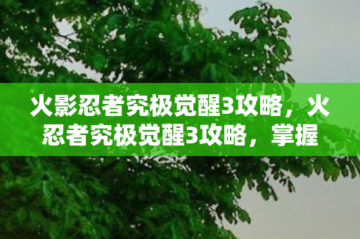 火影忍者究极觉醒3攻略，火忍者究极觉醒3攻略，掌握核心战斗技巧，解锁无限潜能！