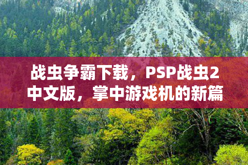 战虫争霸下载，PSP战虫2中文版，掌中游戏机的新篇章