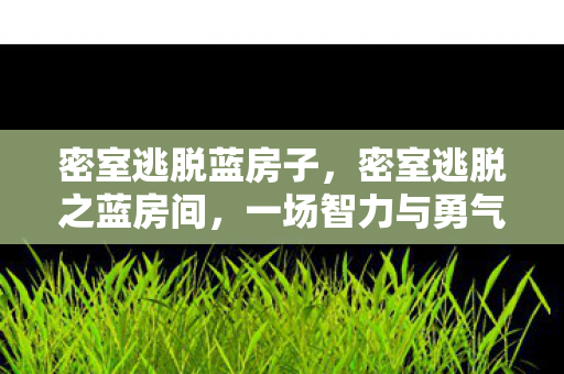 密室逃脱蓝房子，密室逃脱之蓝房间，一场智力与勇气的挑战