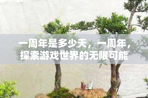 一周年是多少天，一周年，探索游戏世界的无限可能