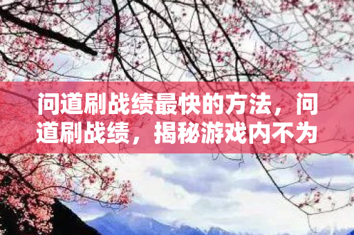 问道刷战绩最快的方法，问道刷战绩，揭秘游戏内不为人知的战绩提升现象