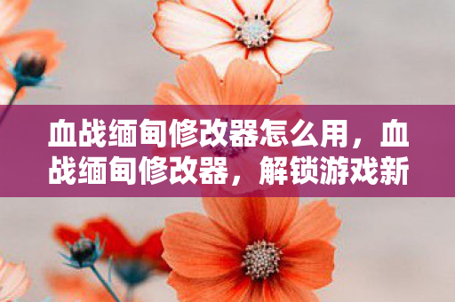 血战缅甸修改器怎么用，血战缅甸修改器，解锁游戏新体验，合法合规是关键