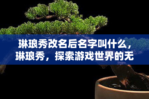 琳琅秀改名后名字叫什么，琳琅秀，探索游戏世界的无限可能