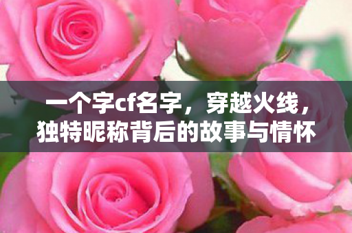 一个字cf名字，穿越火线，独特昵称背后的故事与情怀