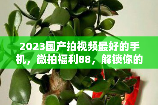 2023国产拍视频最好的手机，微拍福利88，解锁你的创意摄影之旅