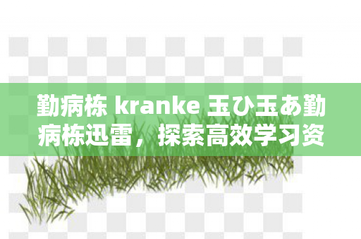 勤病栋 kranke 玉ひ玉あ勤病栋迅雷，探索高效学习资源的秘密