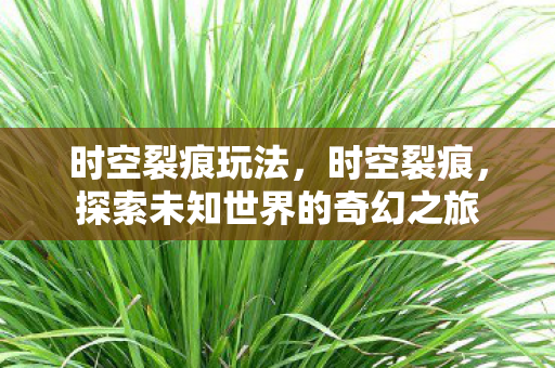 时空裂痕玩法，时空裂痕，探索未知世界的奇幻之旅