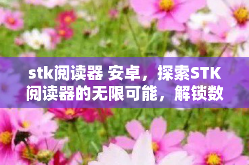 stk阅读器 安卓，探索STK阅读器的无限可能，解锁数字阅读的全新境界