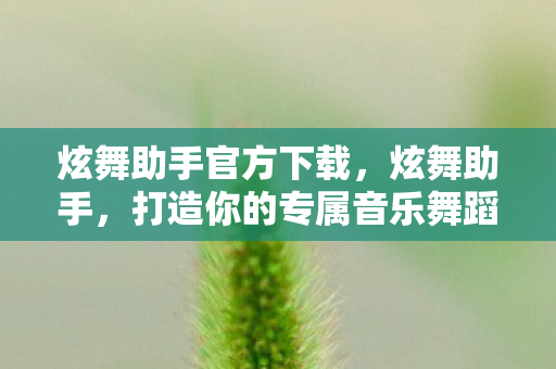 炫舞助手官方下载，炫舞助手，打造你的专属音乐舞蹈游戏指南