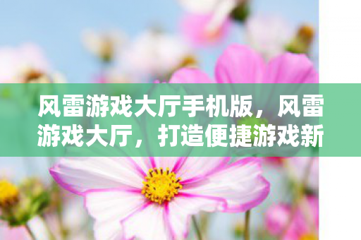 风雷游戏大厅手机版，风雷游戏大厅，打造便捷游戏新体验