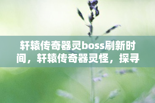 轩辕传奇器灵boss刷新时间，轩辕传奇器灵怪，探寻古老传说的神秘力量