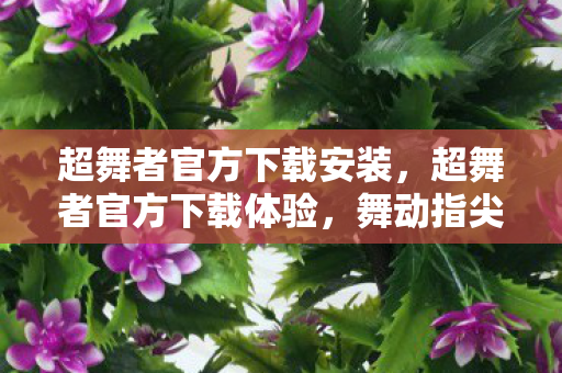 超舞者官方下载安装，超舞者官方下载体验，舞动指尖的极致快感
