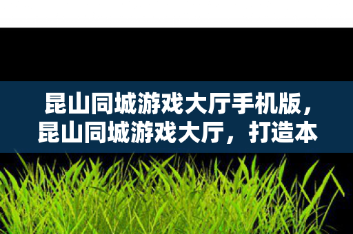 昆山同城游戏大厅手机版，昆山同城游戏大厅，打造本地游戏文化的创新平台