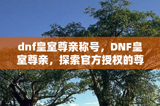 dnf皇室尊亲称号，DNF皇室尊亲，探索官方授权的尊贵体验