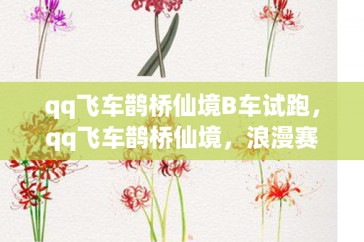 qq飞车鹊桥仙境B车试跑，qq飞车鹊桥仙境，浪漫赛道与梦幻赛车的完美融合