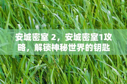 安城密室 2，安城密室1攻略，解锁神秘世界的钥匙