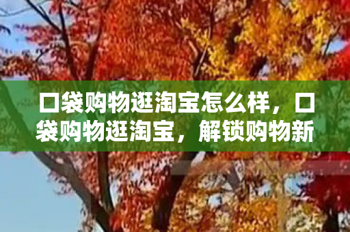 口袋购物逛淘宝怎么样，口袋购物逛淘宝，解锁购物新体验