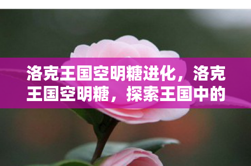 洛克王国空明糖进化，洛克王国空明糖，探索王国中的甜蜜奇迹