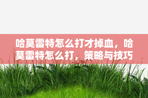 哈莫雷特怎么打才掉血，哈莫雷特怎么打，策略与技巧详解