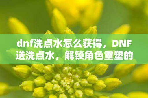 dnf洗点水怎么获得，DNF送洗点水，解锁角色重塑的钥匙