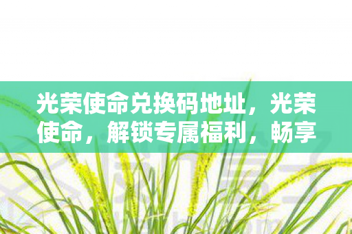 光荣使命兑换码地址，光荣使命，解锁专属福利，畅享游戏新体验