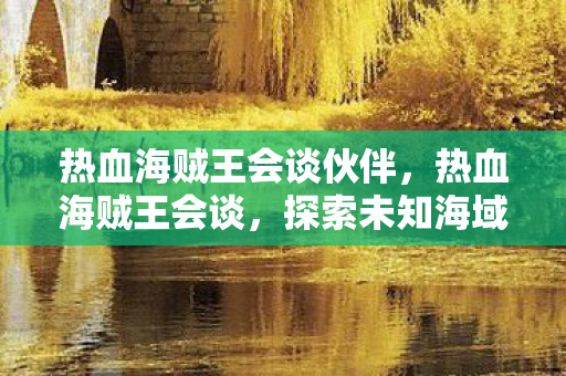 热血海贼王会谈伙伴，热血海贼王会谈，探索未知海域，共筑海贼梦想