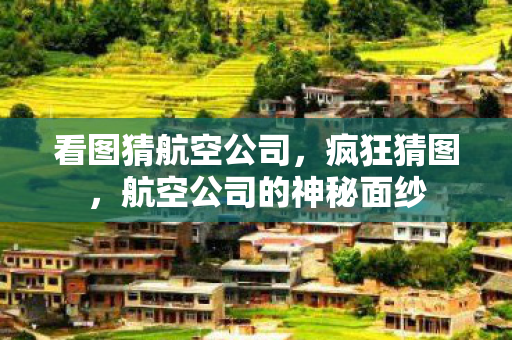 看图猜航空公司，疯狂猜图，航空公司的神秘面纱