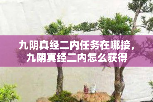 九阴真经二内任务在哪接，九阴真经二内怎么获得