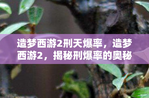 造梦西游2刑天爆率，造梦西游2，揭秘刑爆率的奥秘