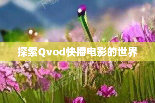 探索Qvod快播电影的世界