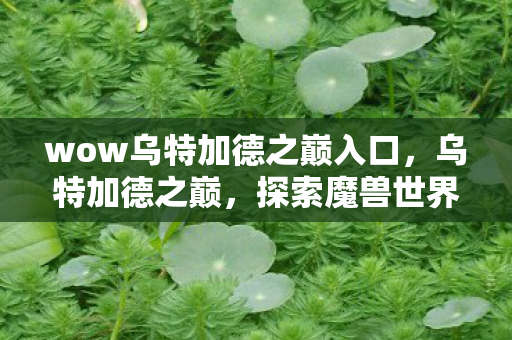 wow乌特加德之巅入口，乌特加德之巅，探索魔兽世界的隐秘之地